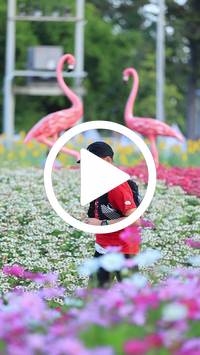 BIB:  <button type="button" onclick="openModal(27583102)" class="btn btn-primary btn-sm float-right" data-toggle="modal" data-target=".modal-high-quality">
                <i class="fa fa-download"></i> Download
                </button>